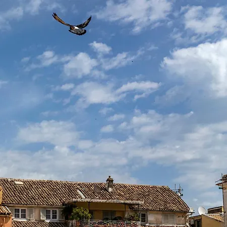 Palazzo Corfu Corfu (city)